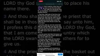 Chariots pt 2