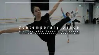 Dans Contemporan - Vanda Stefanescu