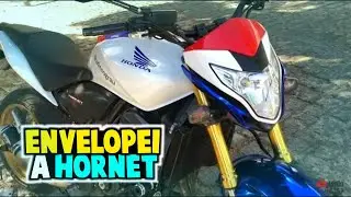 ENVELOPEI A HORNET E MOSTRANDO A POP ROUBA CENA