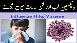 Influenza vaccine kis ko lagwai jati hai/flu vaccine benefits
