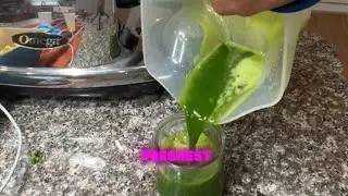 Omega Cold Press Juicer Review: Waste of Money?