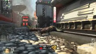 Call of Duty  Black Ops II  with Mineplaycraft der Player #2