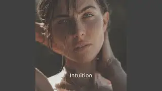 Intuition
