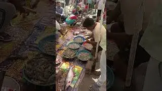 fish market