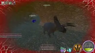 Beastsofbermuda 2023 06 28   18 28 18 02 DVR