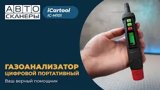 Всё о газоанализаторе ICARTOOL IC-M101: характеристики, функции, инструкция