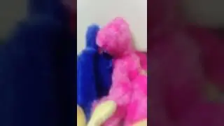 хаги икиси пожинились