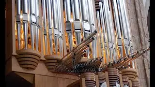 J. S.  BACH (1685-1750) Trío Sonata N 6 in G Major, BWV 530,  I. Vivace, organist  Liudmila Matsyura