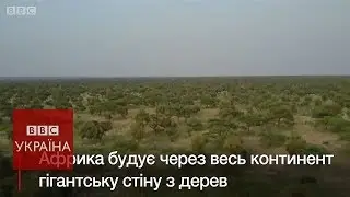 Навіщо Африка будує Велику зелену стіну?