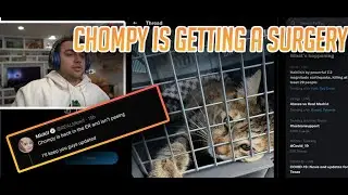 Chompy Is Getting an Expensive Surgery