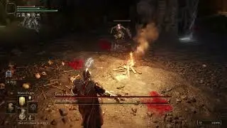 Demi-Human Chiefs - ELDEN RING™ NG+
