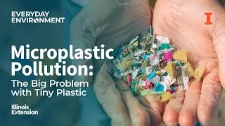 Microplastic Pollution: The Big Problem with Tiny Plastic