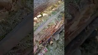 Рукожопость+хитрожопость. Строим избу