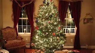 Lights out, tree up | Vlogmas Day 11