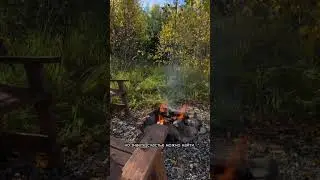 Счастье можно найти даже в темные времена