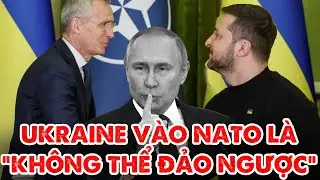 NATO lại cho Ukraine “ăn bánh vẽ” - hứa chắc cho Ukraine gia nhập!!- Nâng Tầm Kiến Thức