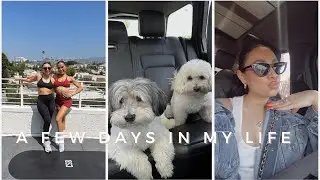 A FEW DAYS IN MY LIFE