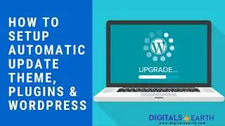 How to setup automatic update theme, plugins and wordpress core file