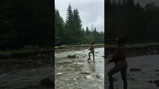Fly Fishing in Carpathian Mountain 