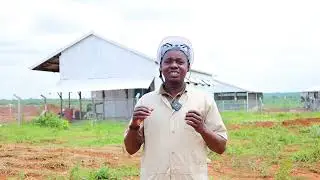 Nakasongola Ranch Tour
