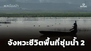 พลเมืองป่า : จังหวะชีวิตพื้นที่ชุ่มน้ำ 2