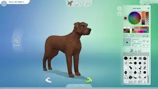 Sims CAS Tramp from Lady and the Tramp