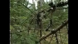 Альманах странствий (Эпизод 5)