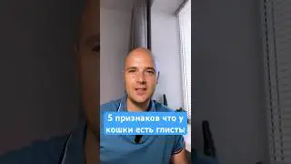 Как понять что у кошки глисты #кошки #ветеринар
