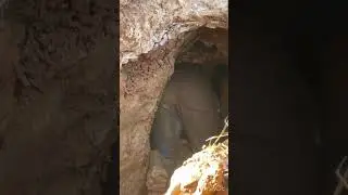 Ох Гариби 😢