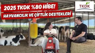 2025 TKDK 80% Grant! | Livestock and Farm Supports