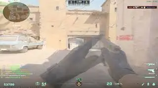 stoopid jump bug