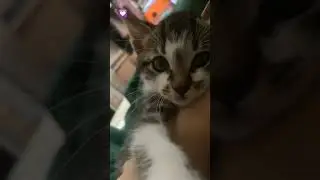 извиняюсь что не было видео потому что.......... потому что 
