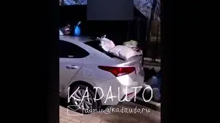 Каштановая аллея в Калининграде.