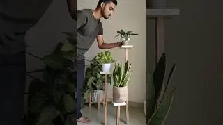 Tiered plant stand 
