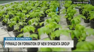 Agriculture giant Syngenta Group on track for 2022 IPO