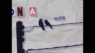 :3