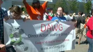 DAWG 2010 In Pictures