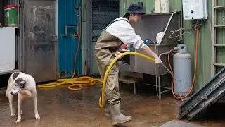 [ 五堅情 X 張媽媽流浪動物之家 ]  2022愛最大 讓愛永續 - 完整版