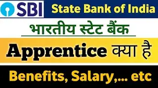 SBI Apprentice kya hota hai | what is SBI Apprentice | notification 2023 | state bank of India |