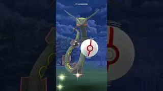 i missed this channel 💛✨ my first and only shiny rayquaza clip :D #shinypokemon