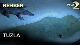 Rehber 98. Bölüm Tuzla 08.03.2020 FULL BÖLÜM İZLE!