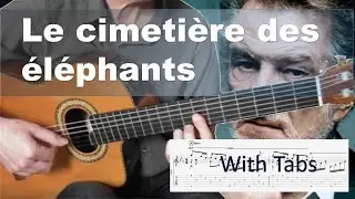 Le cimetière des éléphants - Eddy Mitchell - solo fingerstyle guitar