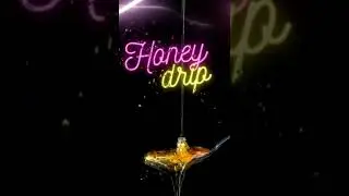 "Honey Drip" by Truth Seeka sample