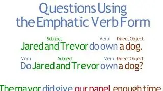 Lesson 04   Questions Using the Emphatic Verb Form