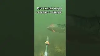 старый морф #dotagame #dota2clips #дота2хайлаты #dota2gameplay #dota2 #dota #anime #dotabattle