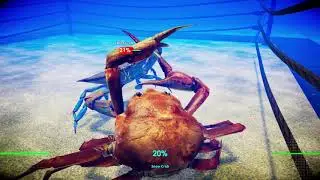 Fight Crab (Nintendo Switch Gameplay)