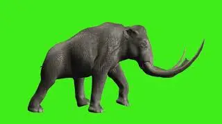 Earth's Strangest Rulers: After Dinosaurs, Before Mammoths