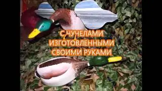 Охота на уток