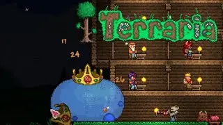 Честер ★ Terraria # 4