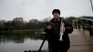 Олег Степурко - Вести с Полей